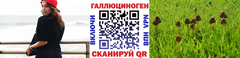 Псилоцибиновые грибы Magic Shrooms  купить наркотик  кракен ССЫЛКА  Темрюк 